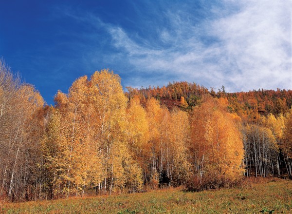 Hanas, province du Xinjiang, Chine