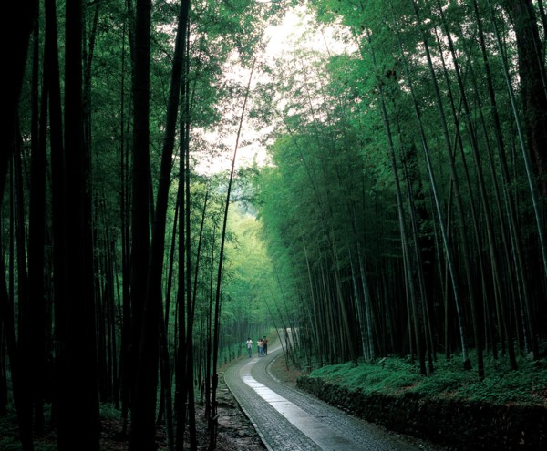 Hangzhou, comté du Yunxi, Chine