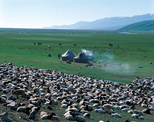 Prairie Nalati, province du Xinjiang, Chine