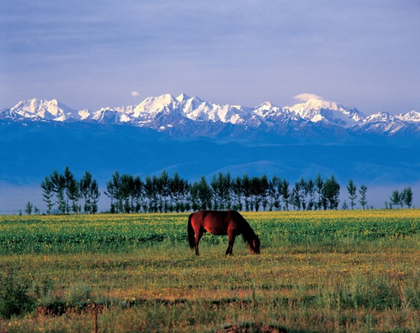 Nature, province du Xinjiang, Chine