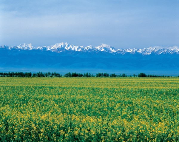 Nature, province du Xinjiang, Chine