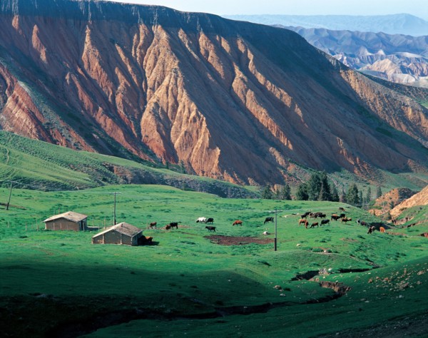 Nalati Grassland, Bayin Valley, Xinjiang Province, China
