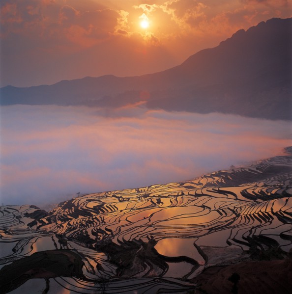 Yuanyang Terrace, Yunnan Province, China