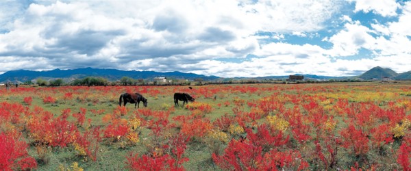 ZhongDian, Shangrila, Yunnan Province, China