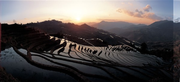 Terrace Yuanyang, province du Yunnan, Chine