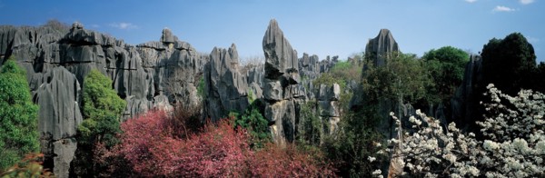 Forêt de pierre, province du Yunnan, Chine
