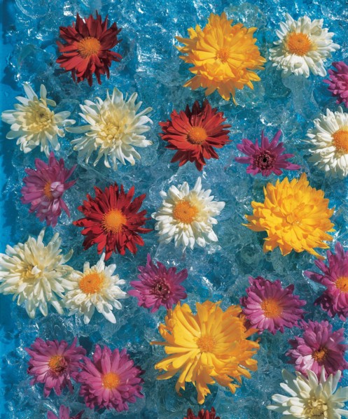 Fleurs dans l'eau, Chine