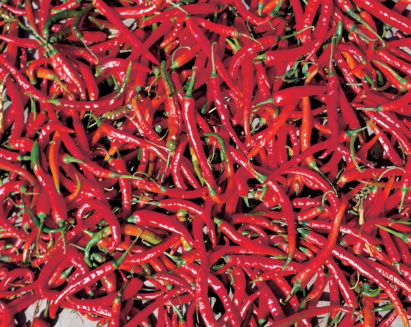 Piments, Chine