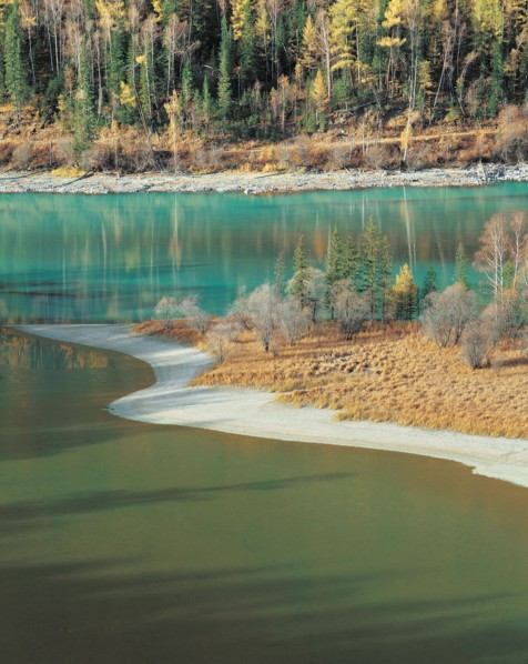 Forêt en bordure de lac, Chine
