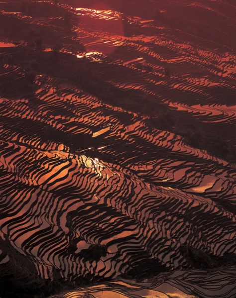 Rizières, Chine