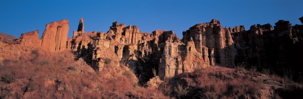 La forêt de Terre de Yuanmou, dans la province de Yunnan, Chine