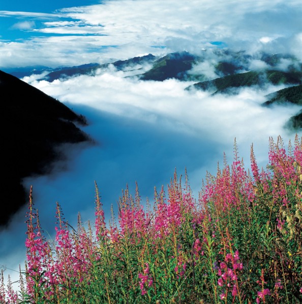 Montagnes et brouillard, Chine