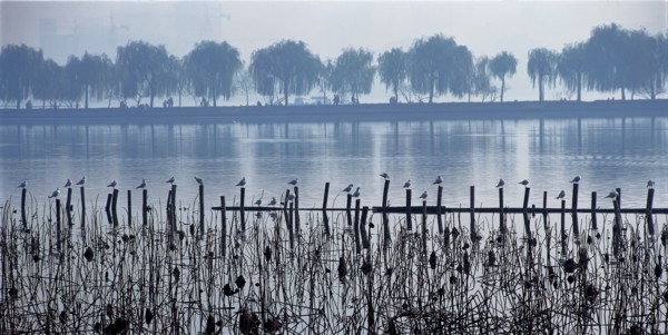 La digue Bai du Lac de l'Ouest, Chine