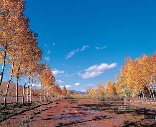 Paysage, Chine