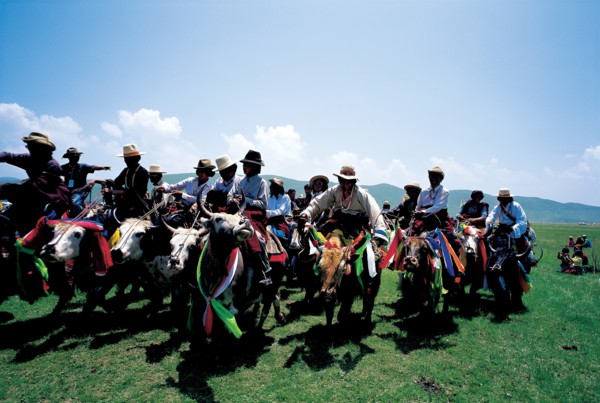 Yak Festival, China