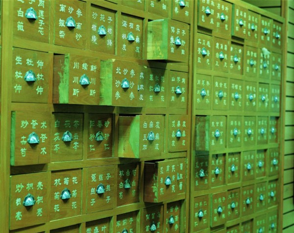 The traditional Chinese medicine-chest