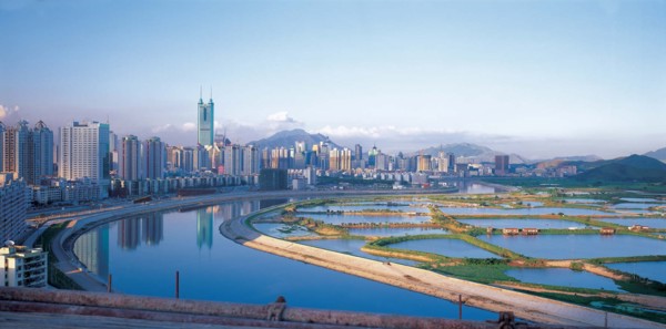 The cityscape of Shenzhen,China