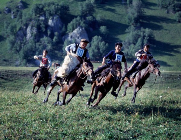 Uygur man scramble for a sheep