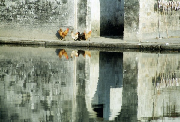 A pool of Xidi Village,Shexian County,Anhui Province,China