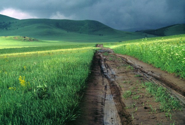 The scenery of Bashang,Hebei Province,China