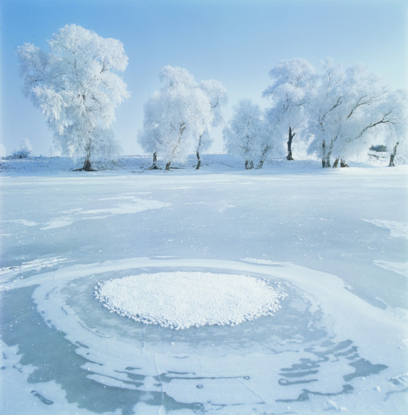 snow-covered pine trees,Jilin,China