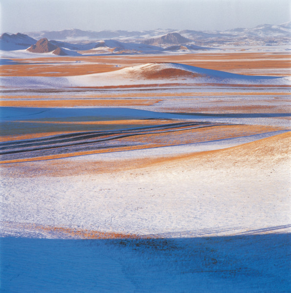 The snowscape of Bashang,Hebei Province,China