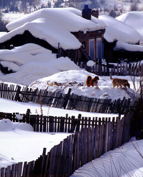 the snow-covered house at Shuangfeng Forestry Centre,Mudanjiang,Heilongjiang,China