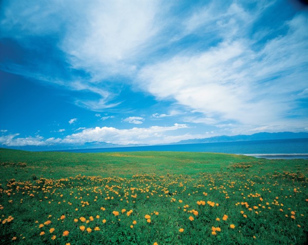 A grassland on the bank of Sayram Lake, Xinjiang,China