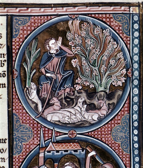 BIBLIA DE S LUIS- TOMO I- PAG 34- MOISES OYE LA ZARZA-S XIII-
TOLEDO, CATEDRAL