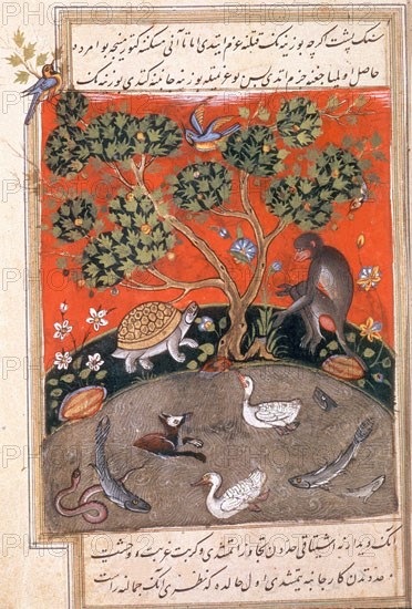 BIDPAI
LIBRO DE FABULAS DE CALILA Y DIMNA-ILUSTRACION-ANIMALES-LIT INDIA-HACIA 300 DC
ESTAMBUL,