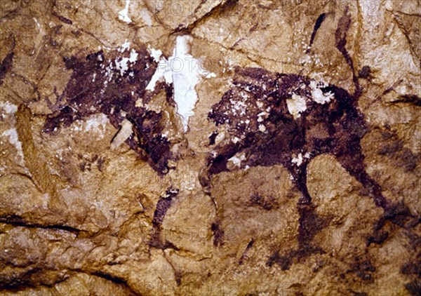ABRIGO MAS D'EN JOSEP-PINTURA  RUPESTRE - ANIMAL EPIPALEOTICO Y MESOLITICO - 8000-1200