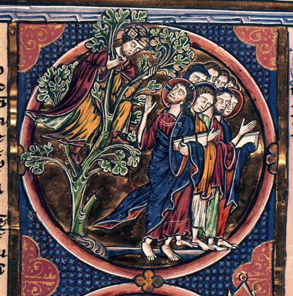 Bible de saint Louis - Zachée dans un arbre