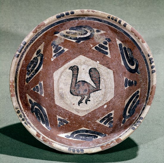 CERAMICA IRANI-PLATO DE BARRO ROSADO S IX
MADRID, MUSEO ARQUEOLOGICO MUNICIPAL
MADRID

This
