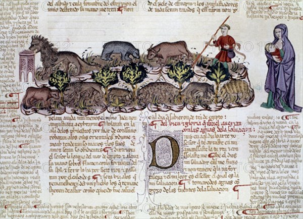 BIBLIA DE ALBA.1420/30:ISAÍAS 11-12, EL RETOÑO DE JESSE,PROMESA DEL SALVADOR
MADRID, COLECCION