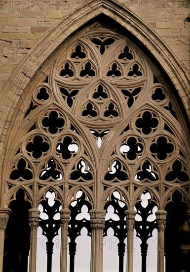 CLAUSTRO-DETALLE DE ARCO OJIVAL CON CRESTERIA-S XIV-ARQUITECTURA GOTICA
LERIDA, CATEDRAL