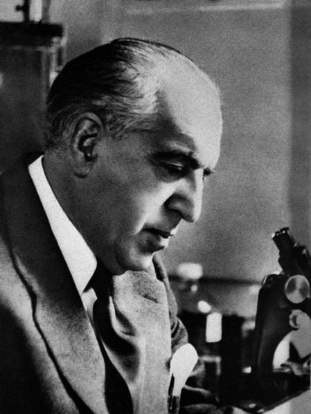 Gregorio Maranon in his laboratory, 1960