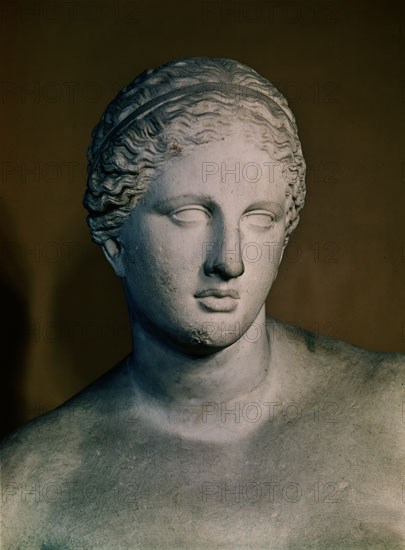 PRAXITELES 390/333 AC
CABEZA DE AFRODITA
VATICANO, MUSEO PIO CLEMENTINO
VATICANO

This image