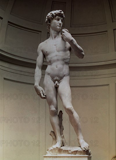 MIGUEL ANGEL 1475-1564
DAVID  1501-1504
FLORENCIA, GALERIA DE LA ACADEMIA
ITALIA

This image