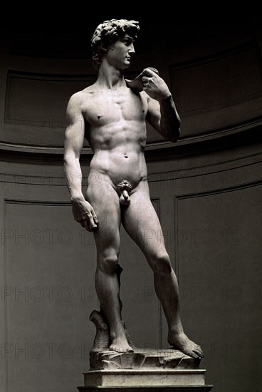 MIGUEL ANGEL 1475-1564
DAVID 1501-1504
FLORENCIA, GALERIA DE LA ACADEMIA
ITALIA

This image is