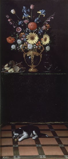 HAMEN JUAN VAN DER 1596/1631
BODEGON CON FLORES Y GATO-L.229x100 CM-NºPRADO 4158
MADRID, MUSEO