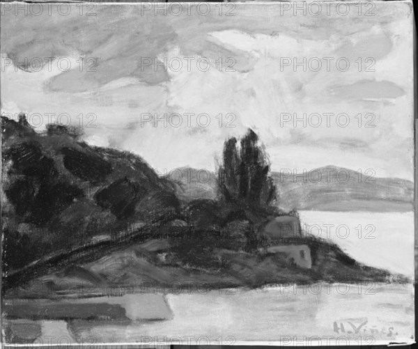 VIÑES HERNANDO 1904/1993
FOTOGRAFIA EN BLANCO Y NEGRO DE UN PAISAJE - S XX
MADRID, COLECCION