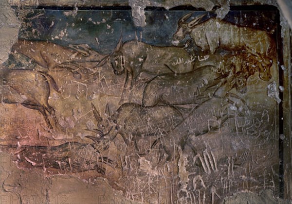 DETALLE DE LA MANADA DE ONAGROS - LADO ORIENTAL DEL GRAN SALON - FRESCOS OMEYAS S VIII
QUSEIR