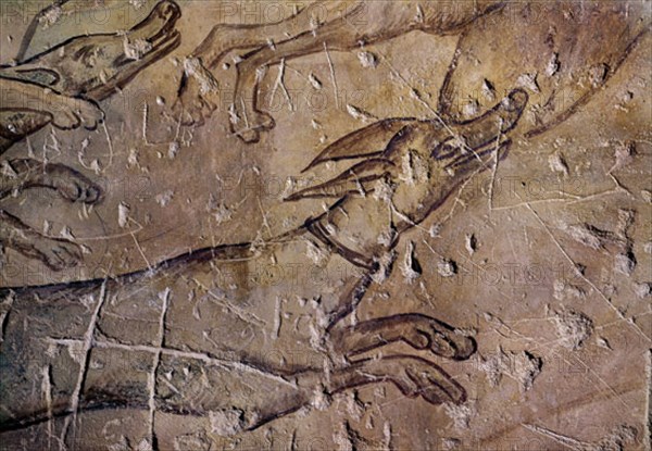 DETALLE DE LOS LEBRELES - LADO ORIENTAL DEL GRAN SALON - FRESCOS OMEYAS S VIII
QUSEIR AMRA,