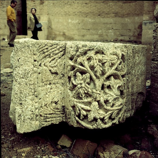 RUINAS - RELIEVES CON DECORACION VEGETAL - S VIII
MSHATTA, CASTILLO
JORDANIA

This image is not