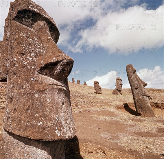 MOAI  GIGANTES DE PIEDRA
ISLA DE PASCUA, EXTERIOR
CHILE

This image is not downloadable.