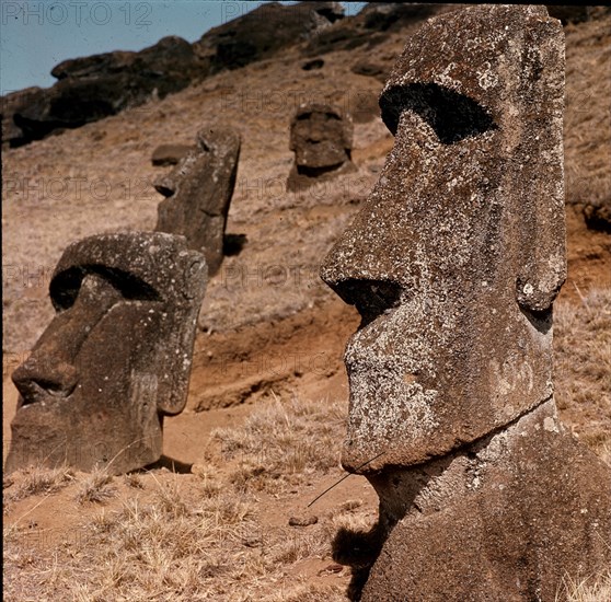 *COLOSOS
ISLA DE PASCUA, EXTERIOR
CHILE

This image is not downloadable. Contact us for the
