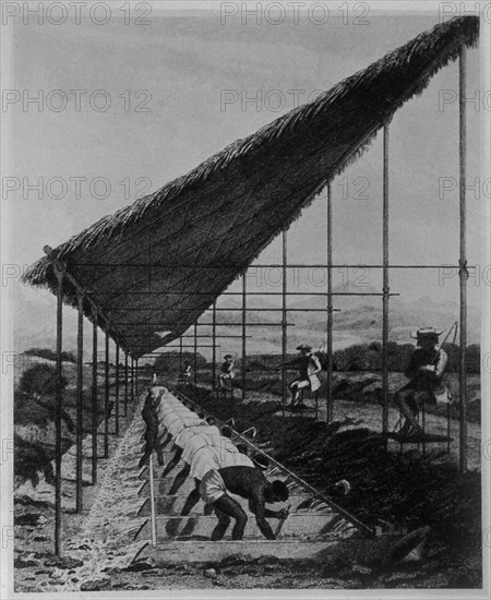 MAWE JUAN
GRABADO S XIX-LAVADO DE DIAMANTES POR ESCLAVOS NEGROS EN BRASIL-

This image is not