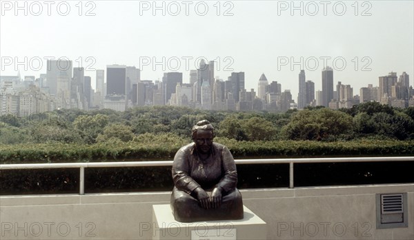 AZOTEA-ESCULTURA DE GELTRUDE STEIN-CENTRAL PARK Y RASCACIELOS AL FONDO
NUEVA YORK, MUSEO