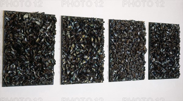 Broodthaers, Panel of Mussels