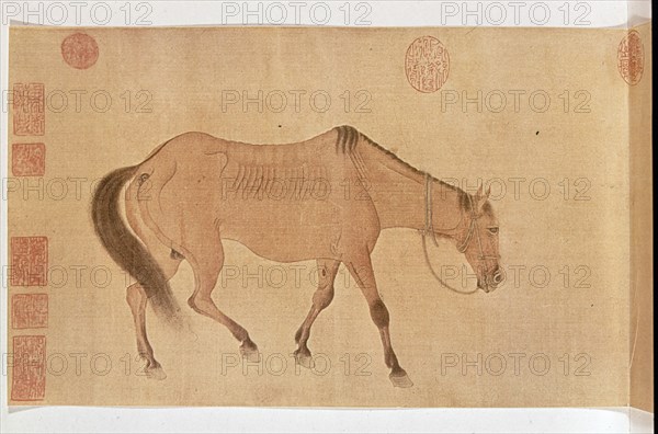 JEN JEN FA
EL CABALLO FLACO(COLORES SOBRE SEDA)-1254-1327
PEKIN, MUSEO DE PEKIN
CHINA

This